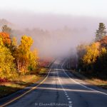 Highway 5 to the Fall